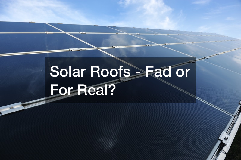 Solar Roofs – Fad or For Real?