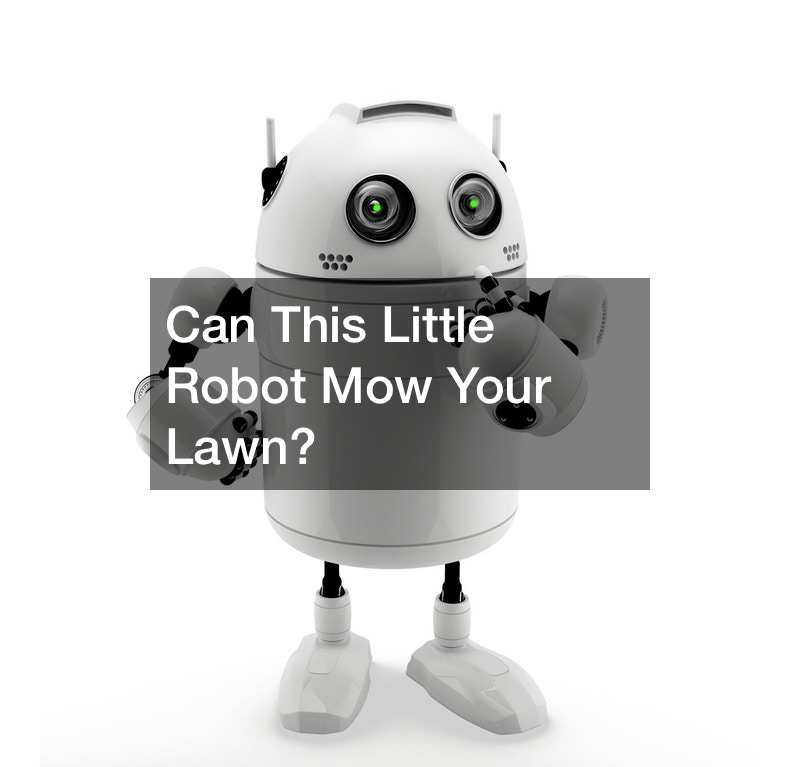 Can This Little Robot Mow Your Lawn?